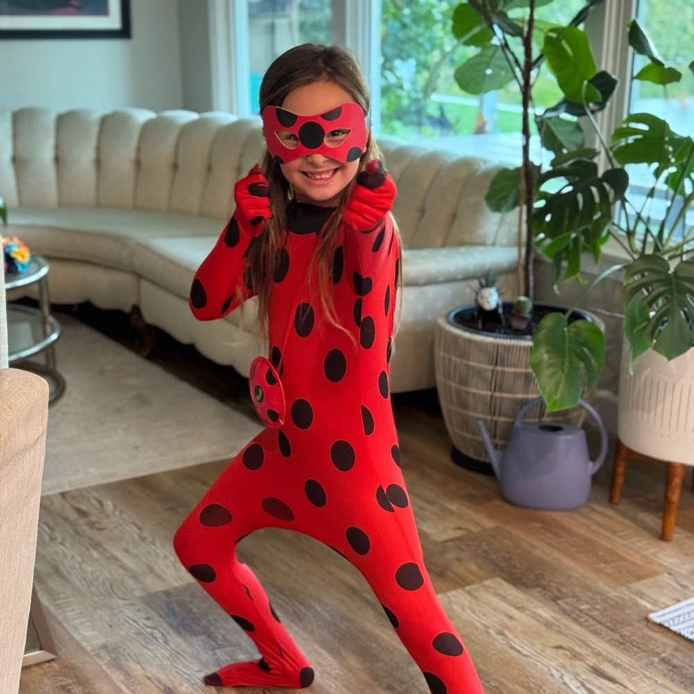 Ladybug Costume